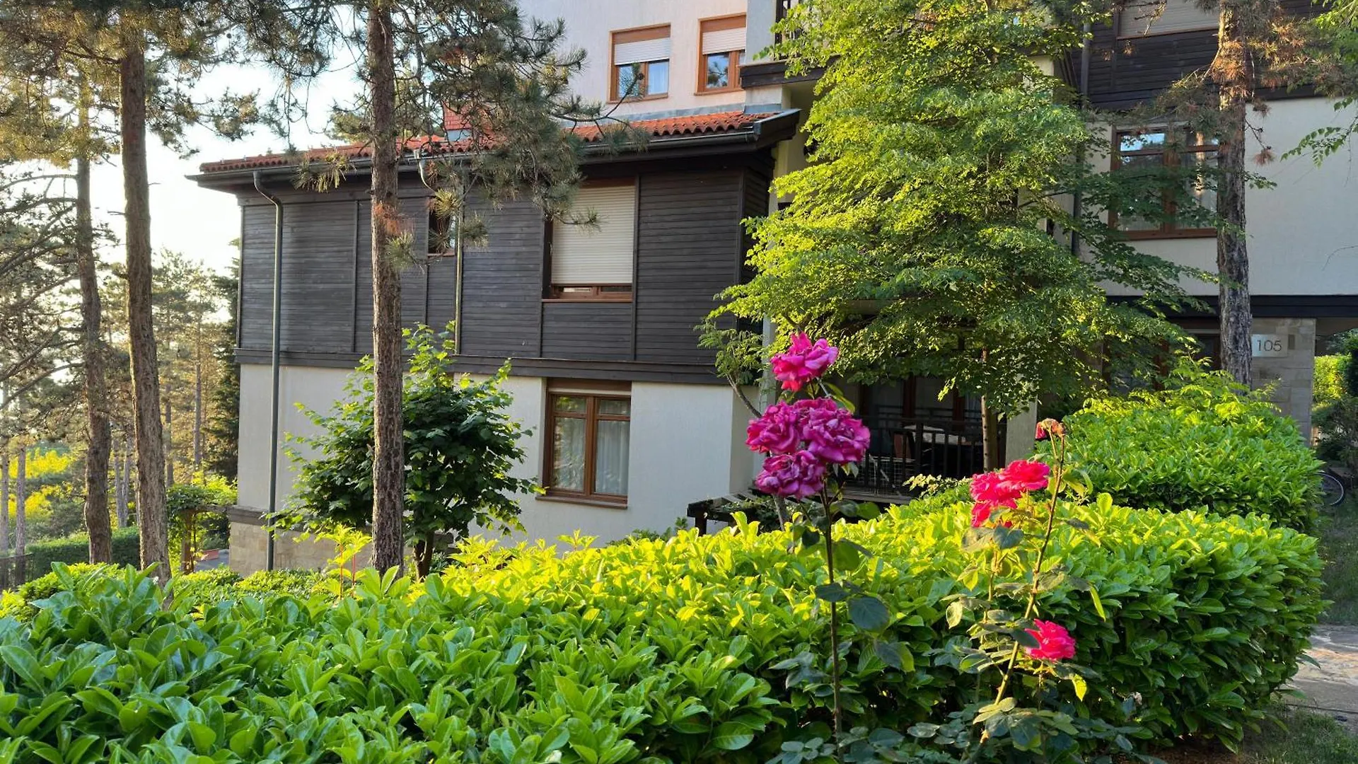 Sm Lovely Apartments On The First Line In Sozopol